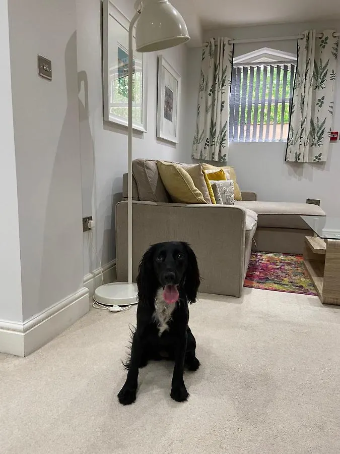 Wonderful Pet Friendly One Bed Apartment In York Great For Couples Or Friends With A Pull Out Comfortable Sofa Bed Right On The River Ouze With A Private Courtyard